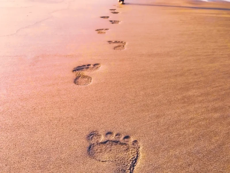 CAMINO A LA LIBERTAD